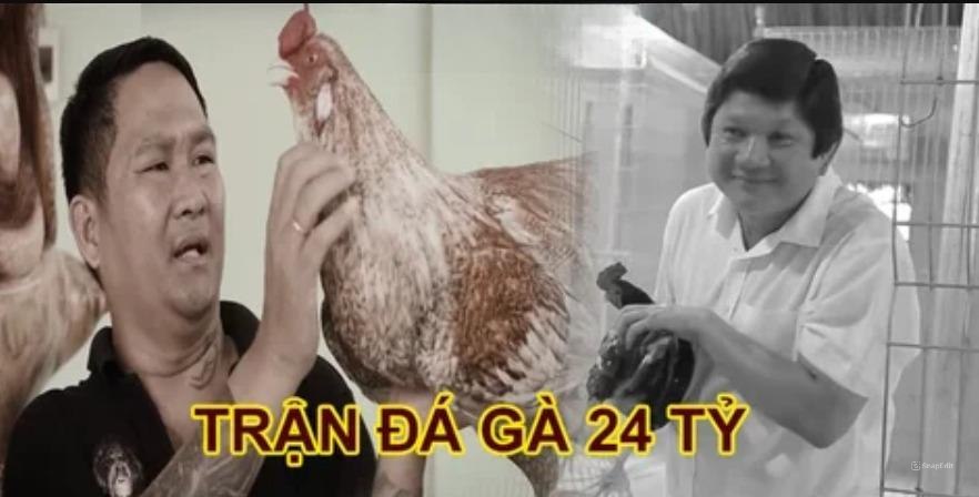 Trận đá gà 24 tỷ cuộc tranh tài giữa 2 sư kê hàng đầu